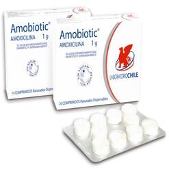 Amobiotic 1 g x 14 Comprimidos Dispersables - Chile