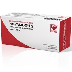 Novamox 1 g x 20 Comprimidos Dispersables - Pasteur