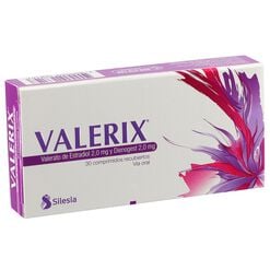 Valerix x 30 Comprimidos Recubiertos - Silesia s.a.