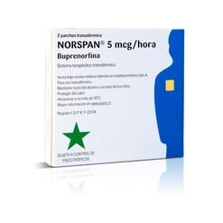 Norspan 5 mcg Parches Transdérmicos Caja 2 Parches - Grunenthal