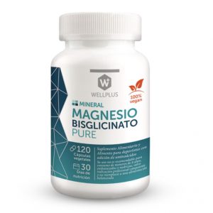 WELLPLUS MAGNESIO  BISGLICINATO PURE 120 CAPSULAS