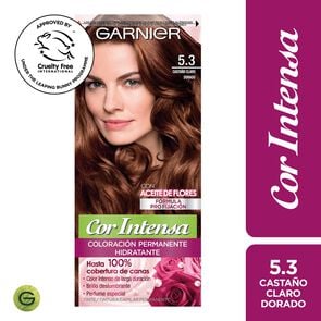 Coloración 5.3 Castaño Claro Dorado Garnier - Cor intensa