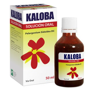 Product image of Kaloba Pelargonium Sidoides 80 Solución 50 mL - Pharma investi