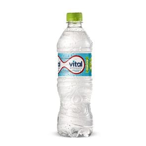 Vital Sin Gas 600 ml