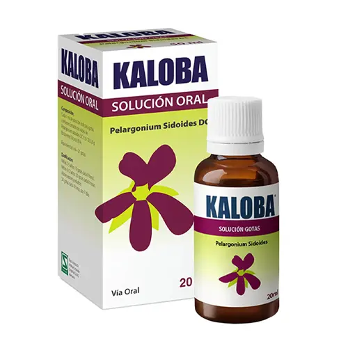 Kaloba Gotas 20Ml (Pharma Investi)