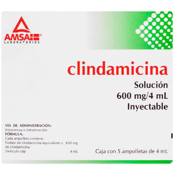 Product image of Clindamicina 600 mg / 4ml x 1 ampolla