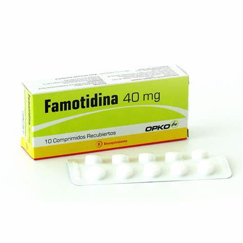 FAMOTIDINA 40 MG. 10 COMP. (OPK) - Opko chile sa