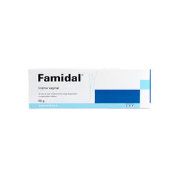 Product image of Famidal Miconazol / Tinidazol Crema Vaginal 60g