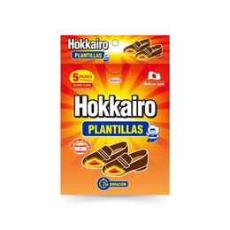 Hokkairo Guatero Plantillas Para Zapatos