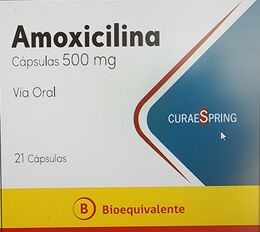 Amoxicilina (B) 500 mg x 21 Cápsulas