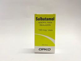 Salbutamol 100mcg Inhalacion Oral 200 Dosis